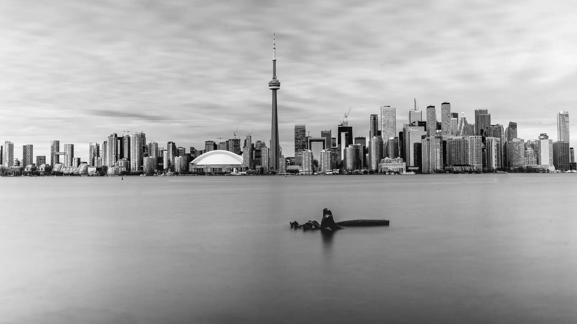 The Toronto skyline with the CN Tower, seen across the lake, in black and white